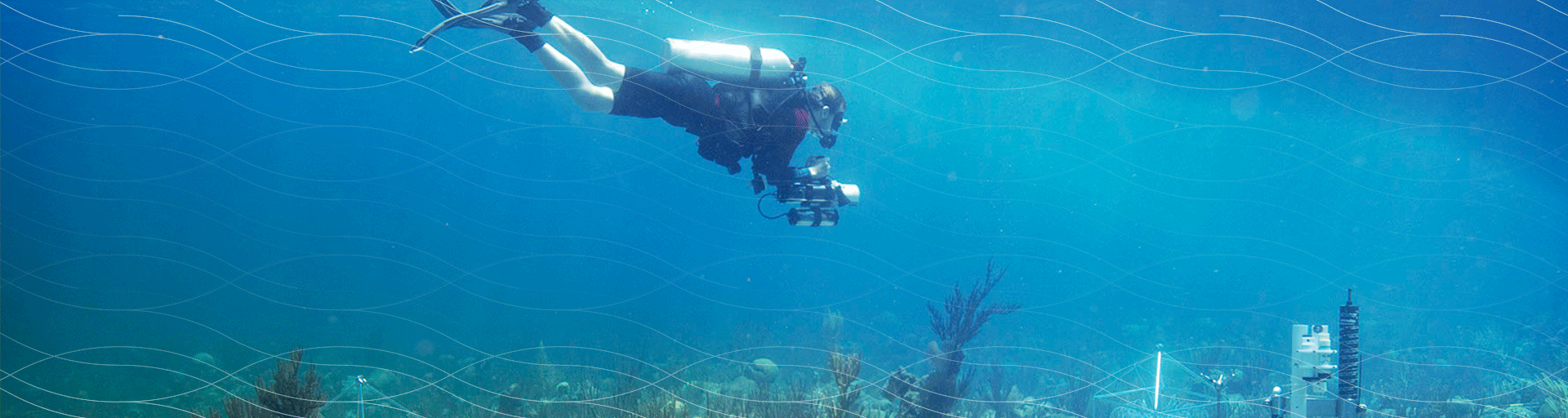 
		Researcher scuba diving in vibrant blue water with coral reefs visible below		
