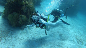 Home - School of Ocean Futures