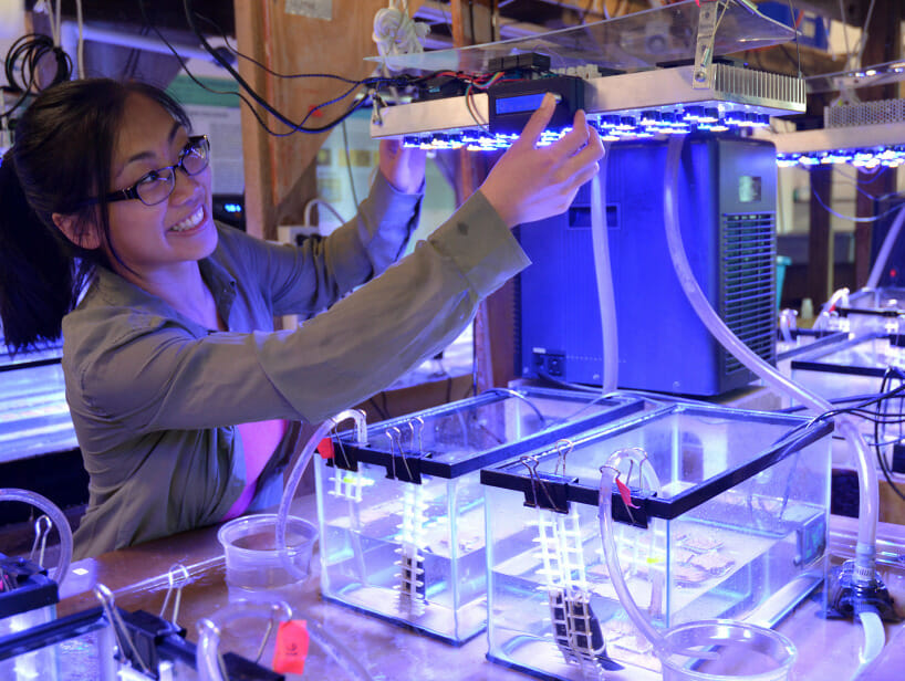 Researcher smiles while holding up a lit up blue shelf over a few boxes on a lab table.